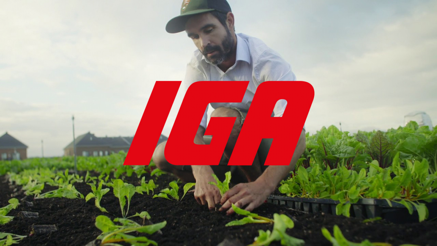 IGA Famille Duchemin : le plus grand potager bio sur un toit de supermarché au pays